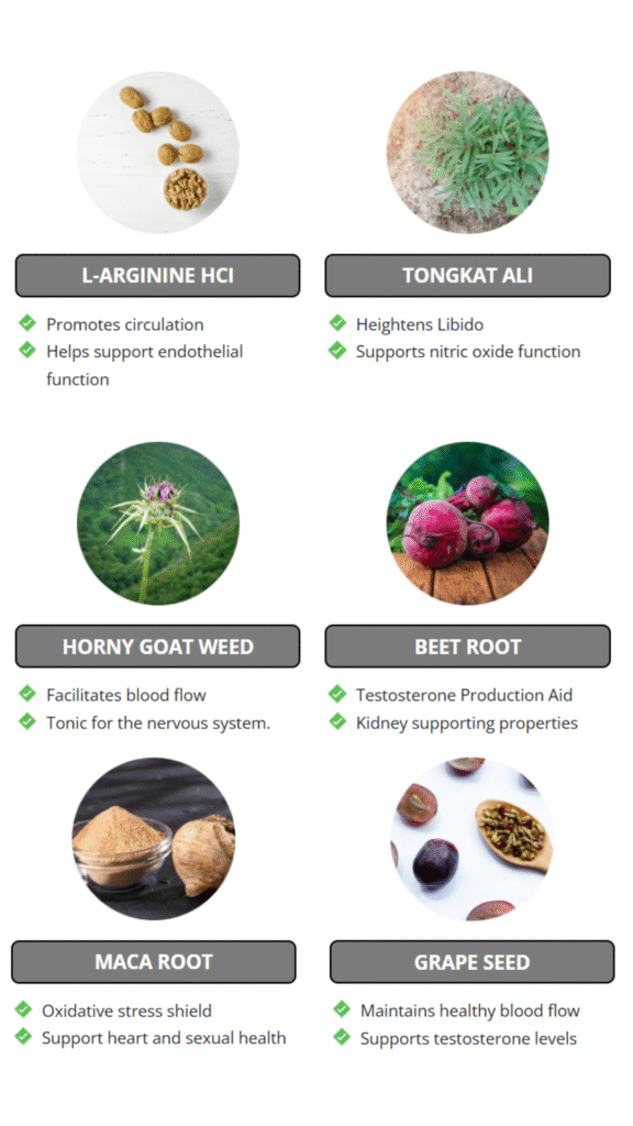 VigorLong ingredients